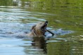 /album/fotogalerie-lvt-svabov/p1070038-800x533-jpg/